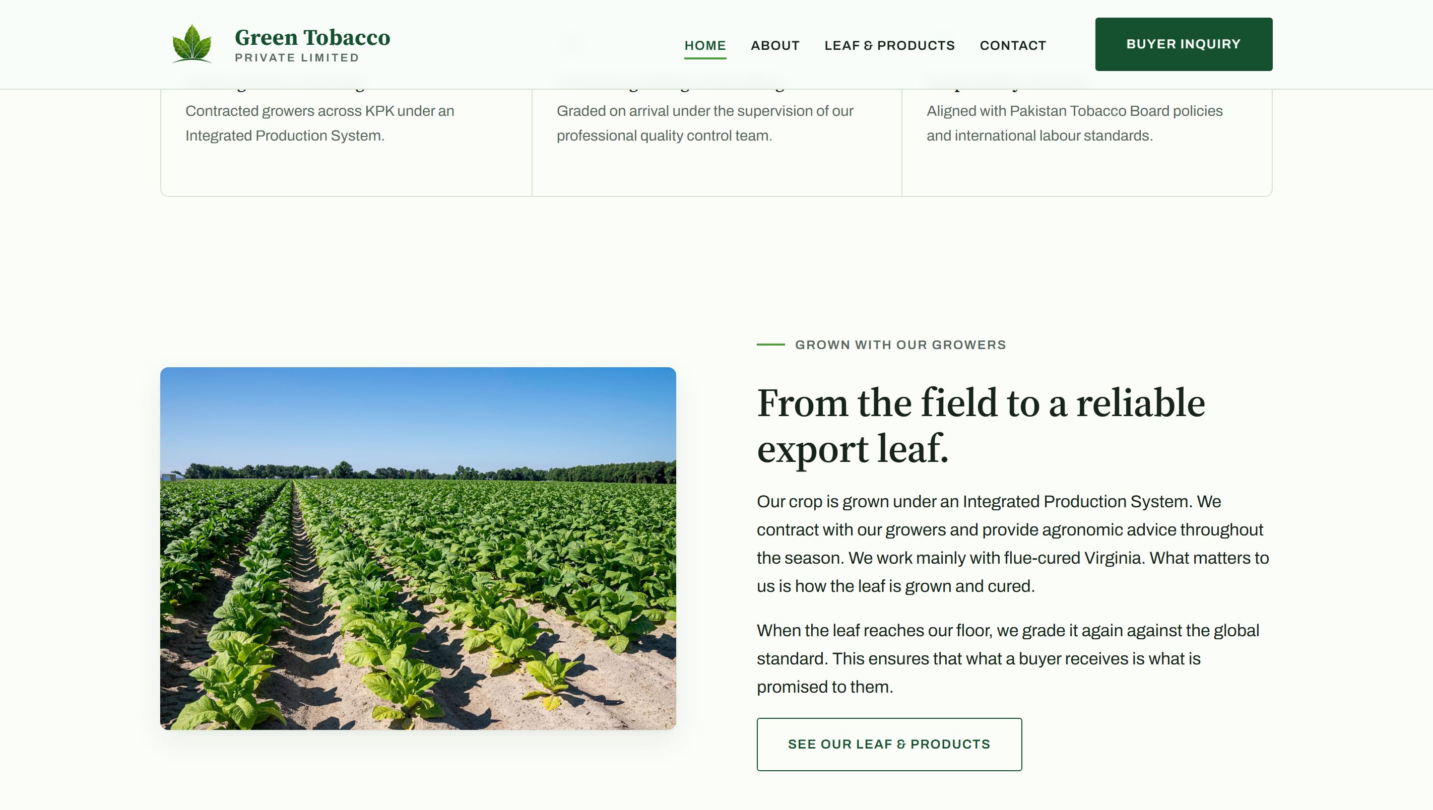 A Green Tobacco page laying out grading and traceability information for importers.